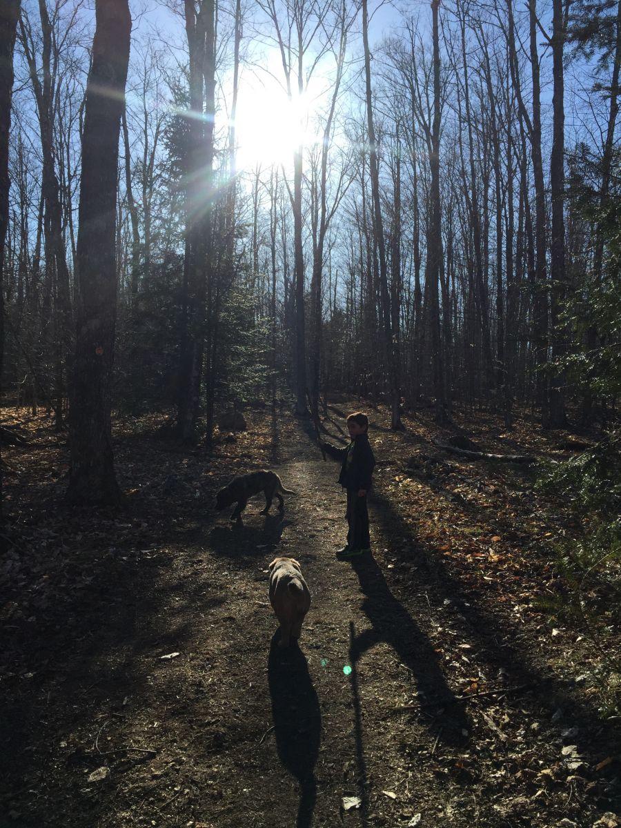 A walk in the woods (blue trail), soon turns into a run in the fields (orange trail). Best of both worlds!