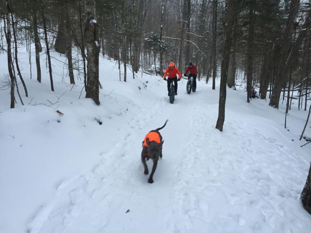 Snow and bikes and dogs, oh my!