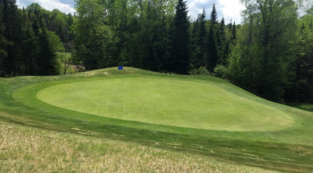 Greens at Craig Wood Golf Course are in spectacular shape!