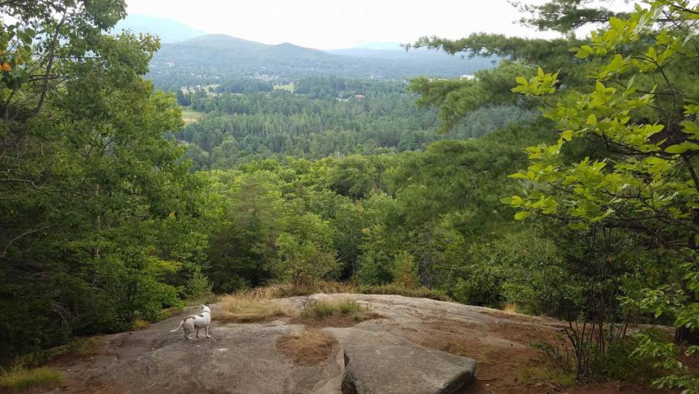 Sam taking in the view from the rock face on our way down