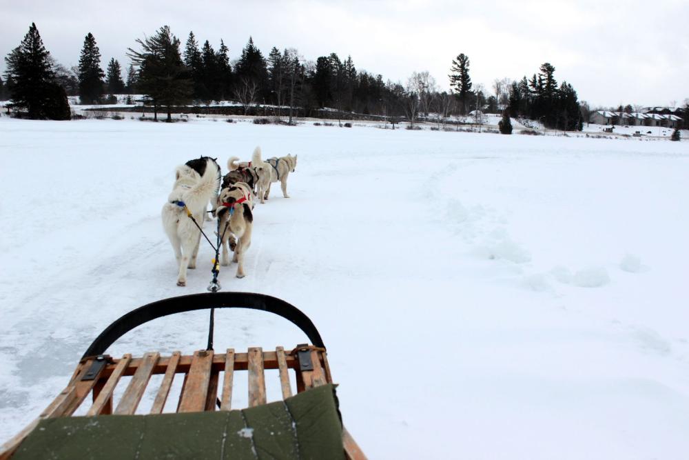 A team of six dogs is sufficient for pulling people across Mirror Lake. A team of six dogs is sufficient for pulling people across Mirror Lake.
