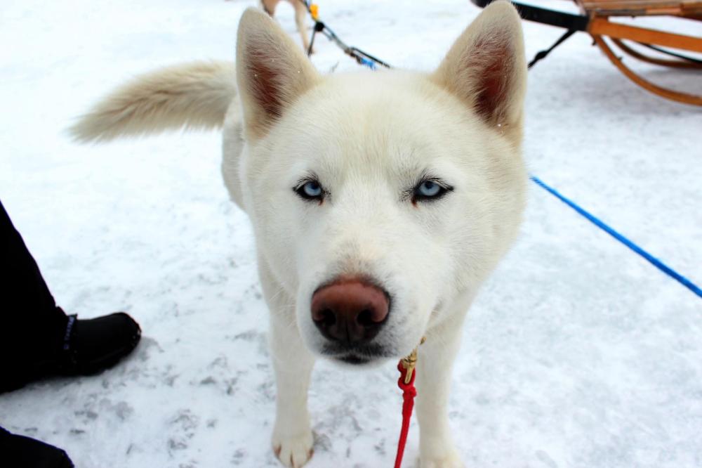 Just look at those baby blues! Just look at those baby blues!
