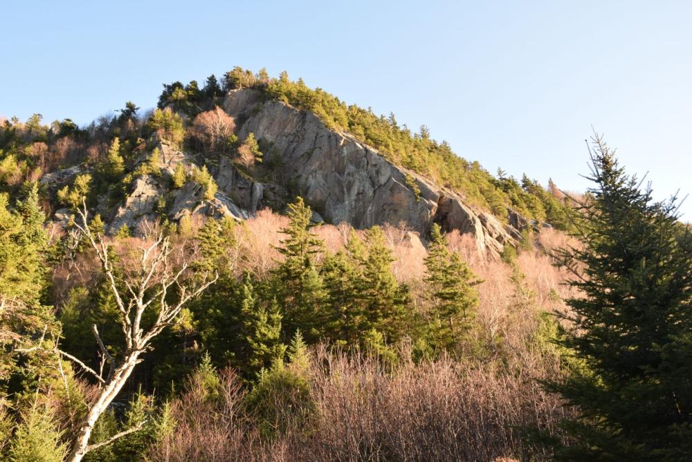 Spectacular cliffs rise from the forest along Old Mountain Road. Spectacular cliffs rise from the forest along Old Mountain Road.