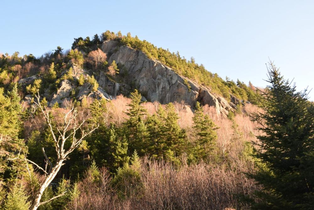 Spectacular cliffs rise from the forest along Old Mountain Road.