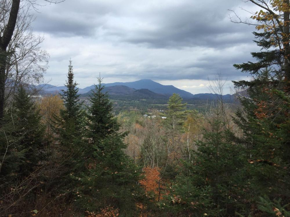 One of the many fabulous views from Henry's Woods.