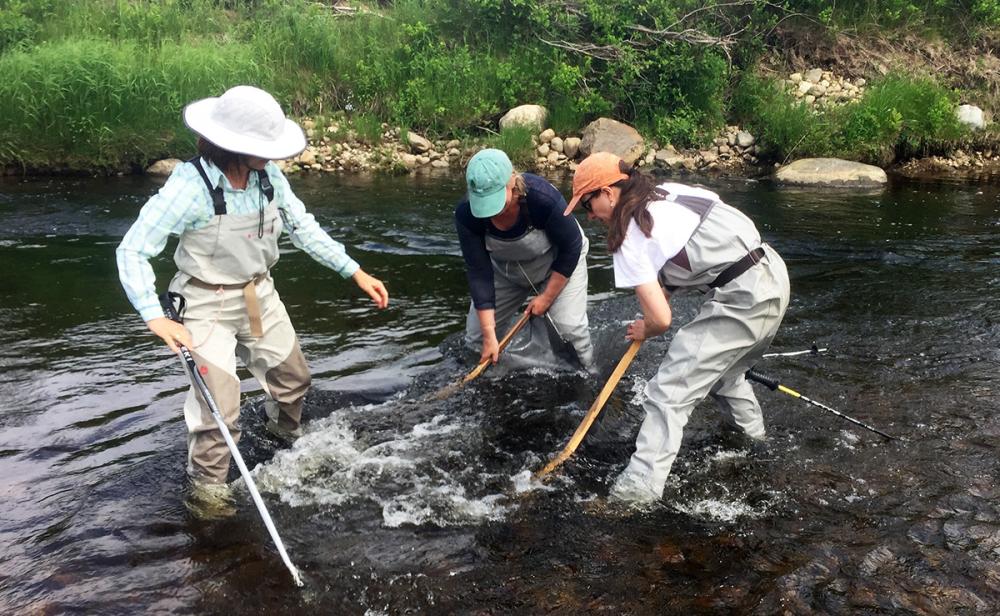 Science: collecting life from the river.