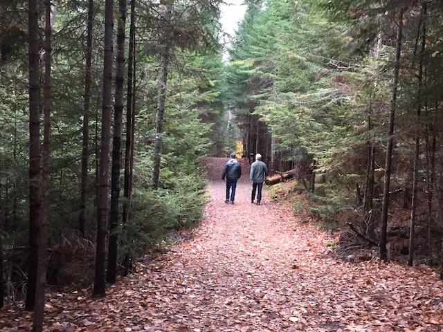 Hiking is a great activity for light conversation or deep sharing.