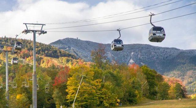 Cruise above the leaves with a 360 degree view.