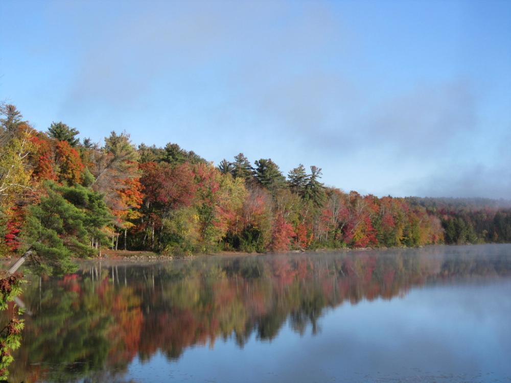 The silverly backdrop of trees whose leaves drop early only enhances the color of those still blazing in this shot of Lincoln Pond.