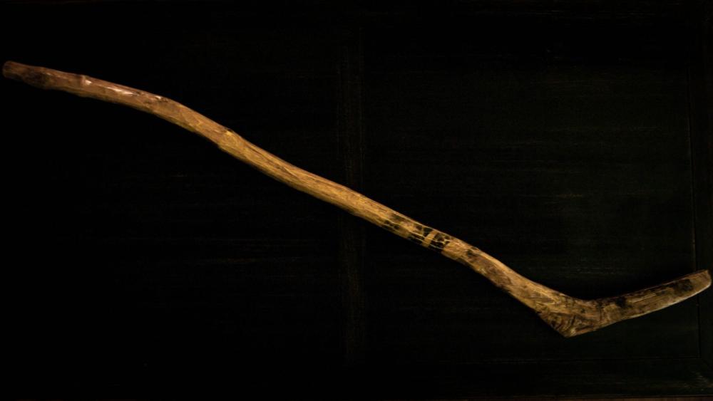 This was my first-ever hockey stick&#44; which my dad carved out of a tree branch. I guess that's what you get when you live way out in the woods.