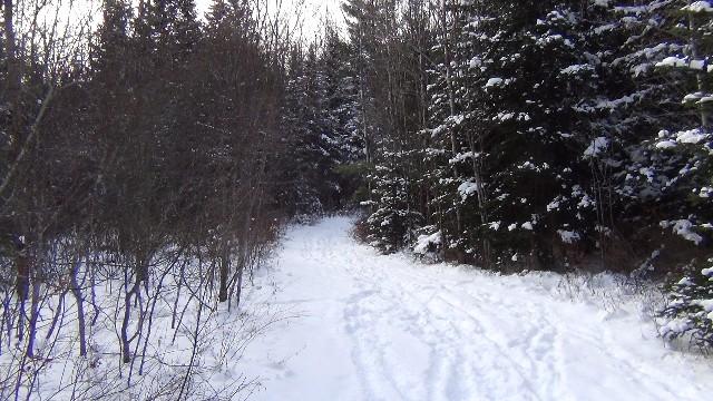 Bring a sled, the wagon of winter.