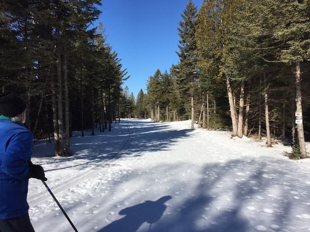 Groomed trails and signage but a much quieter, slower, more contemplative snow experience.
