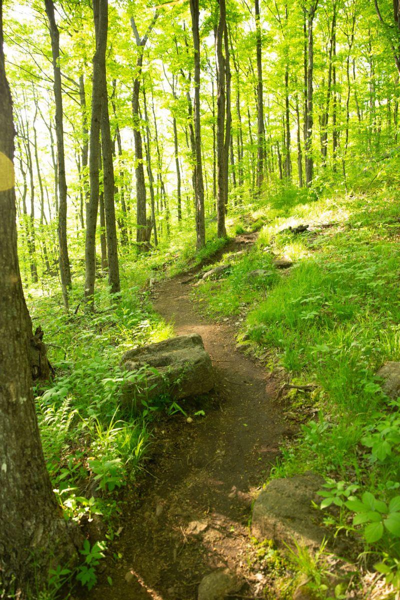 Always stick to the trail to keep the environment safe. Even if it's muddy.