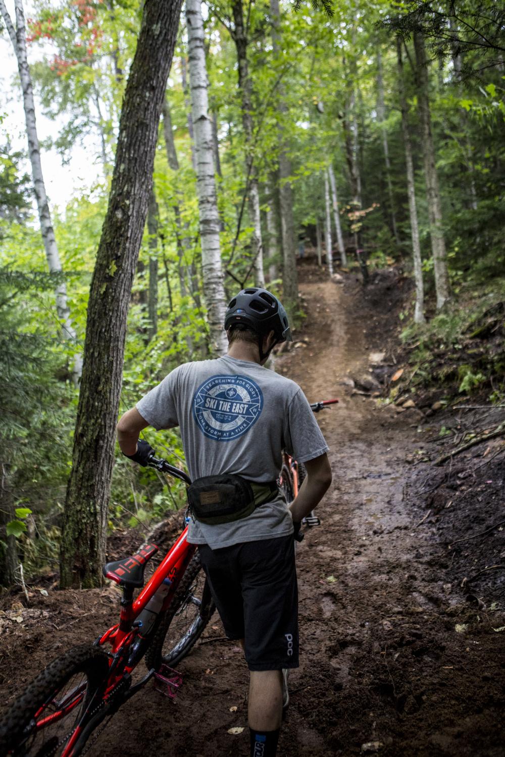 A mountain biker prepares to head up a wooded trail.