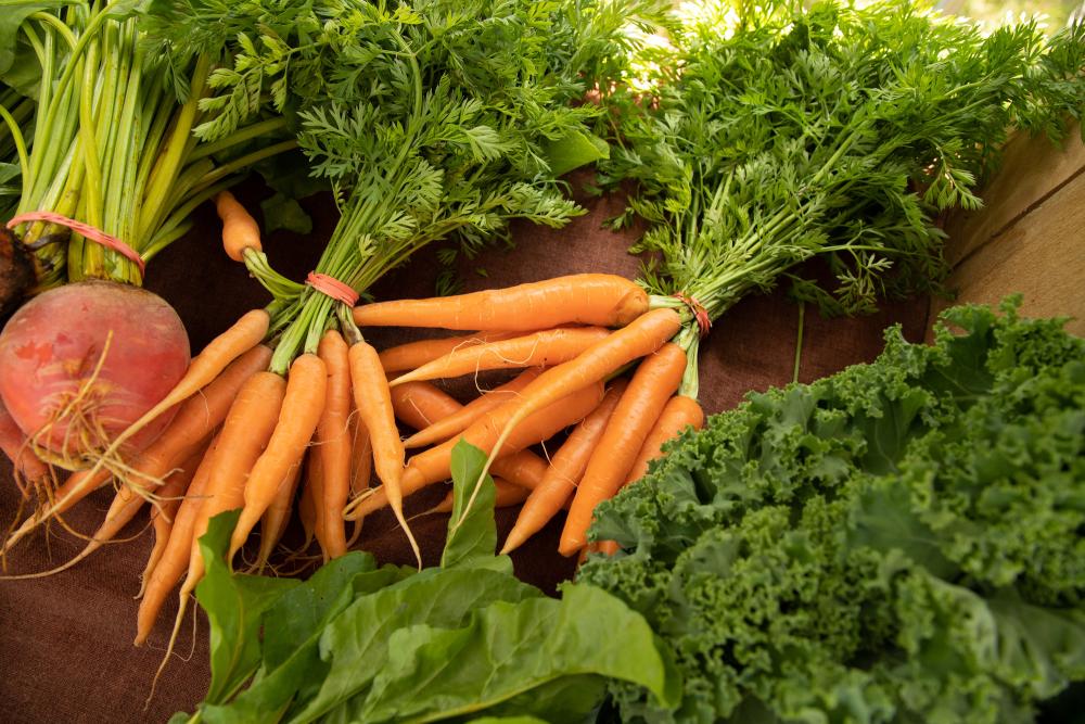 Carrots and other vegetables on a table.