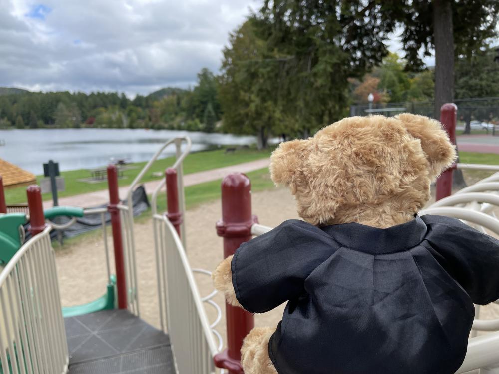 Close up of a teddy bear's back perched on the top of a slide on a playground.