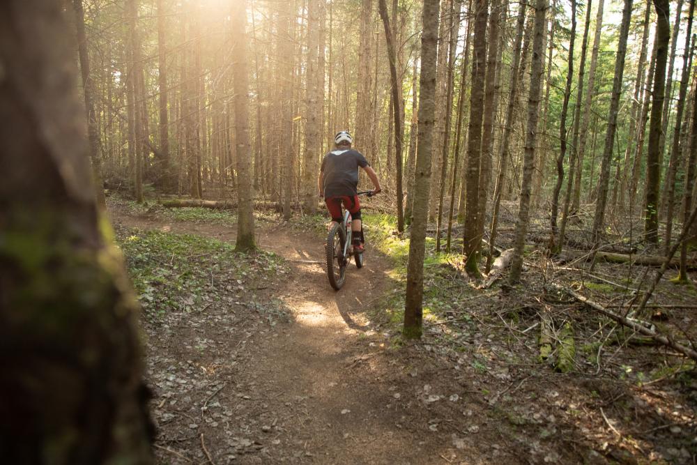 A man rides his mountain bike on a trail through the woods