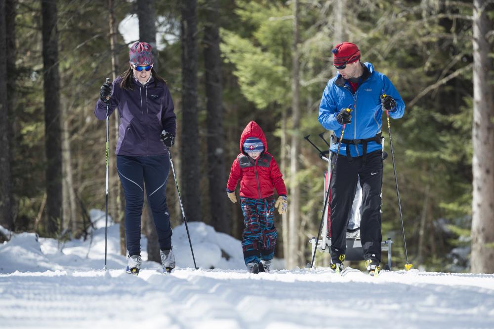 Two adults and a child cross-country ski