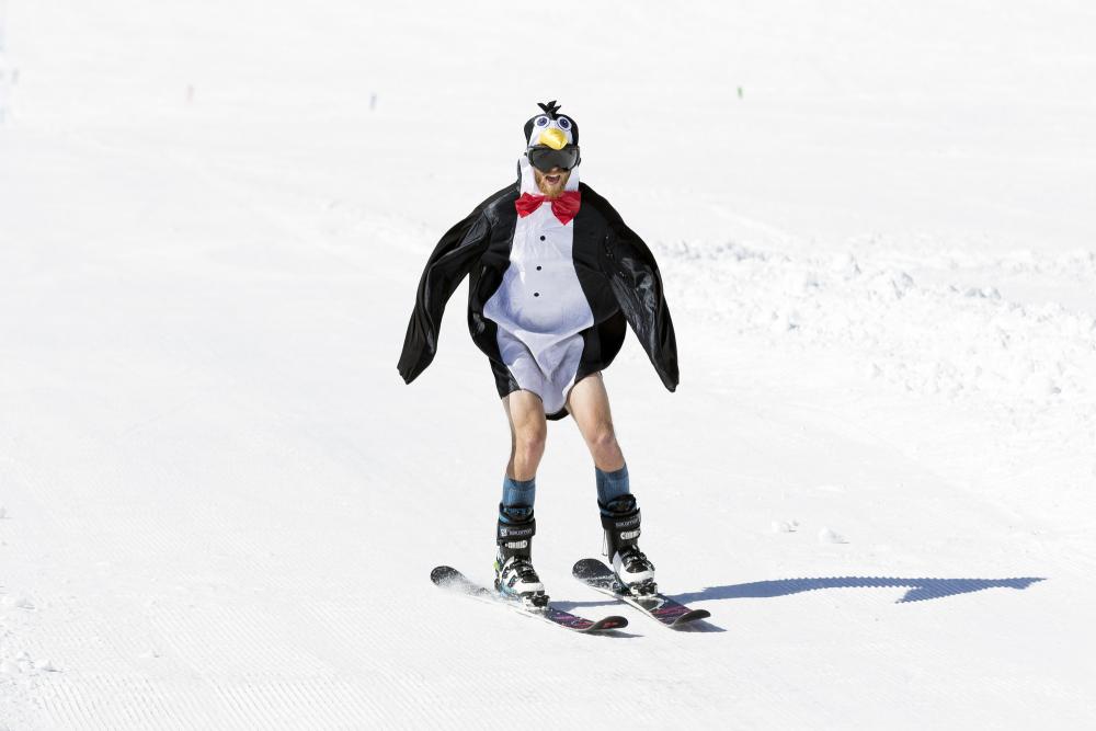 A skier flies down the mountain wearing a penguin costume