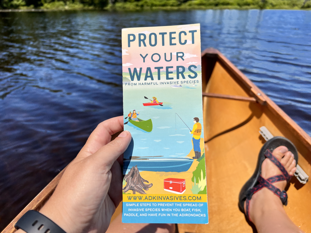 A brochure held in a canoe that explains that harmful effects of invasive species with a graphic.