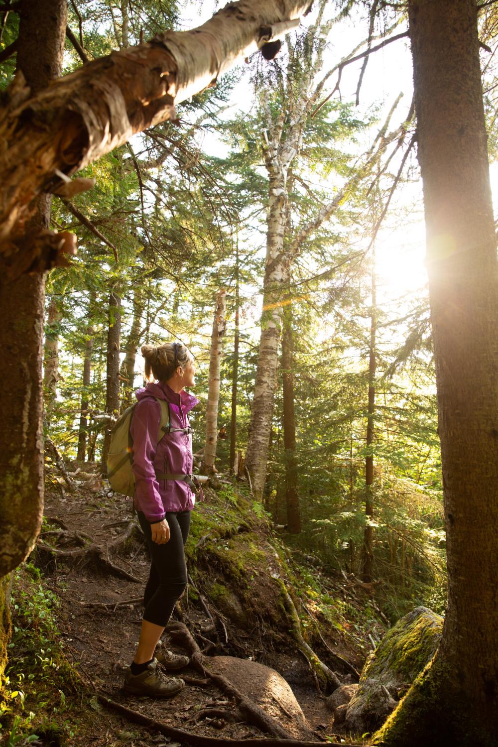 Hiker standing on trail looking at the sun shining through the trees