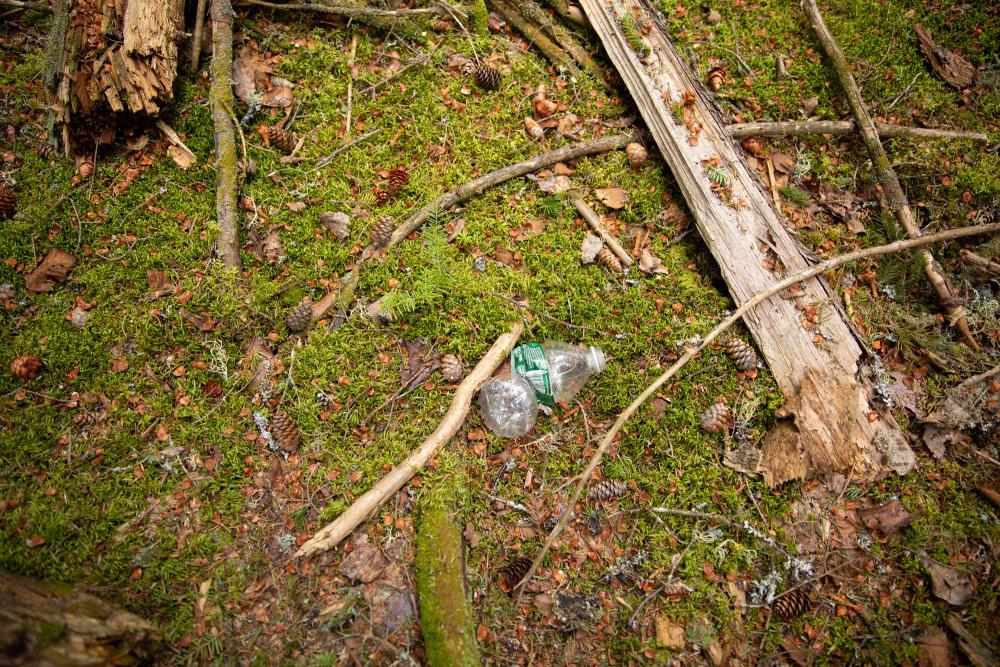 An empty water bottle thrown on the forest floor.