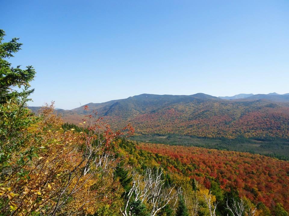 Vibrant orange fall foliage with distant mountains and a valley.