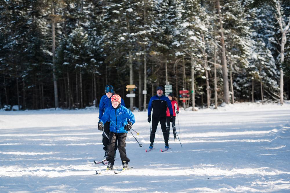 A family skis in a line on a cross-country snow trail.