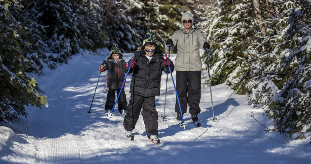 A family of three cross-country skis down a snowy trail surrounded by evergreens.