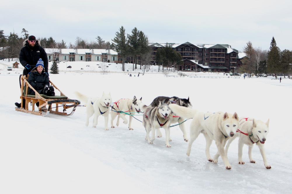 a musher and his dog sled team on the lake