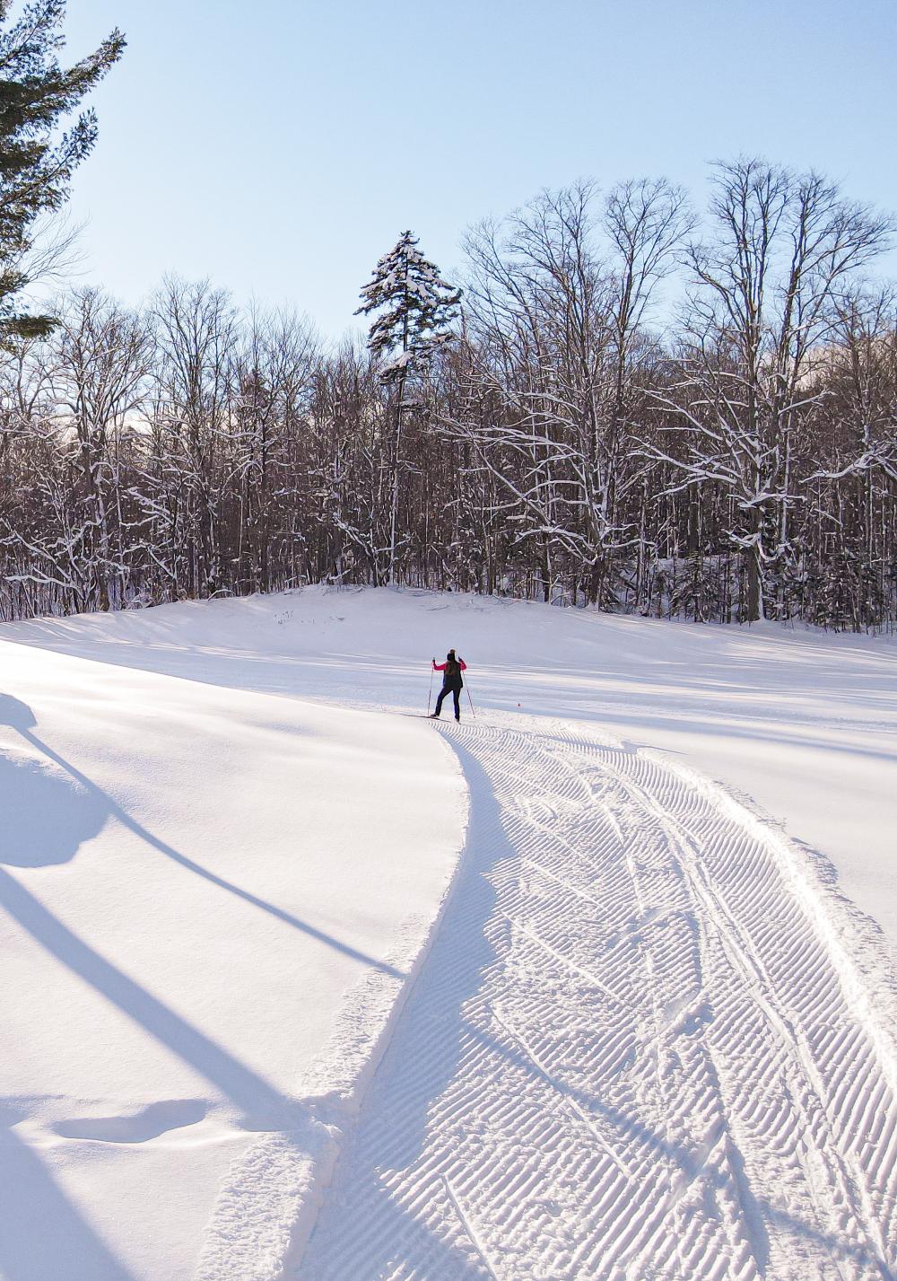 A solo cross-country skier crosses an open field.