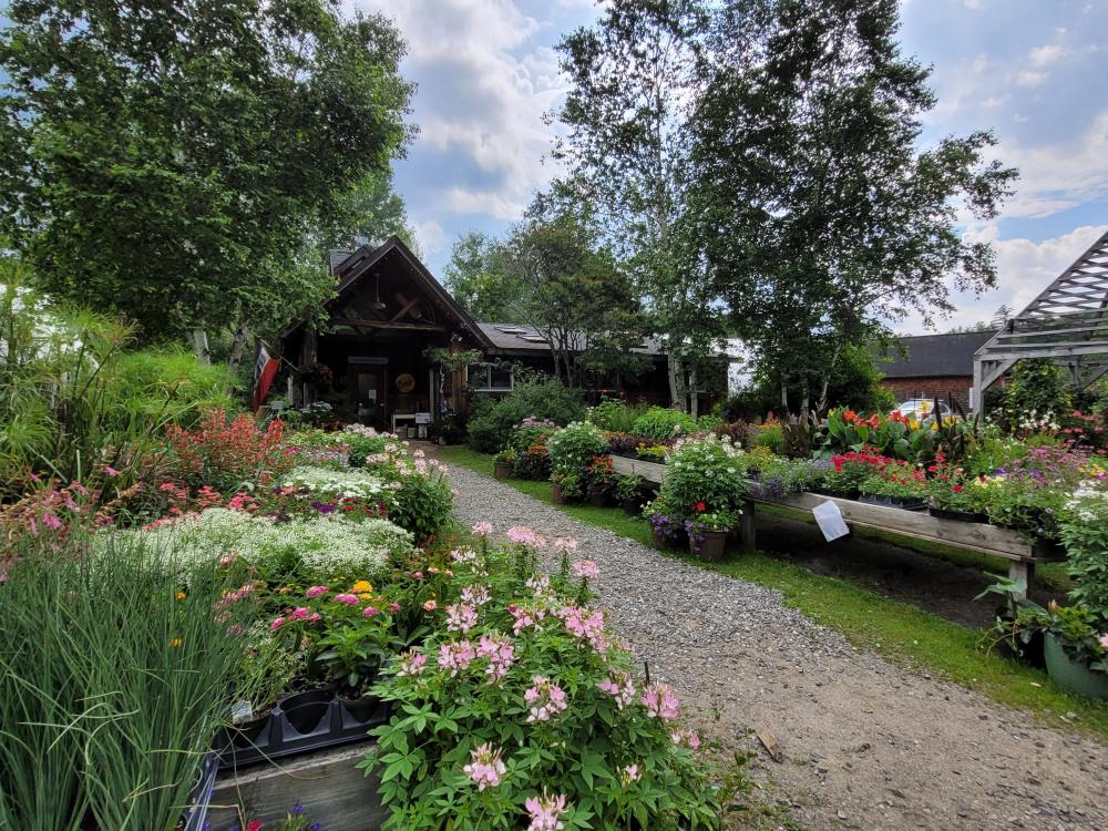 The exterior of East Branch Organics in Keene NY with lots of flowers and a wooden building at the end of a stone path