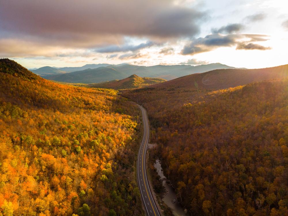 A valley of foliage with a road cutting through it.