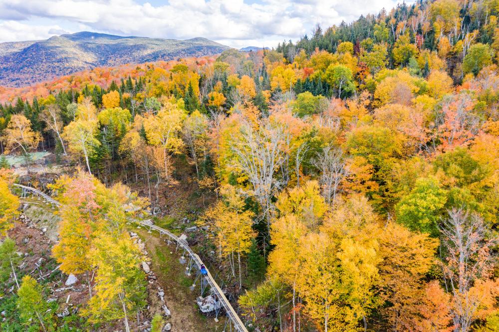 Fall foliage surrounds a mountain coaster, on which a blue bobsled can be seen.