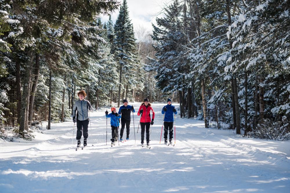 A family cross-country skis on a snowy trail.