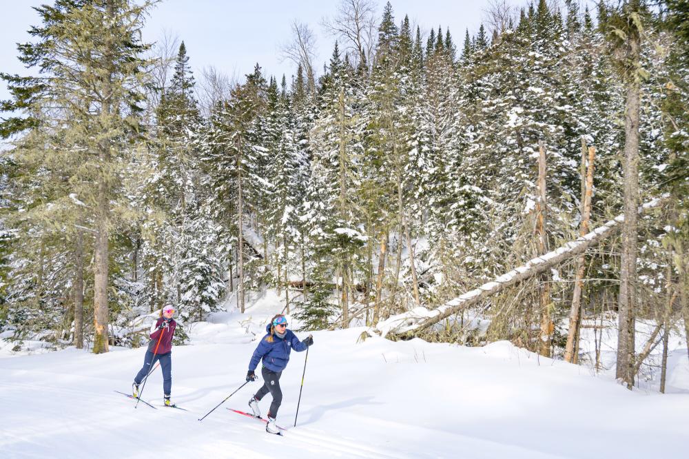 Two women cross-country ski on a clear day in the woods.