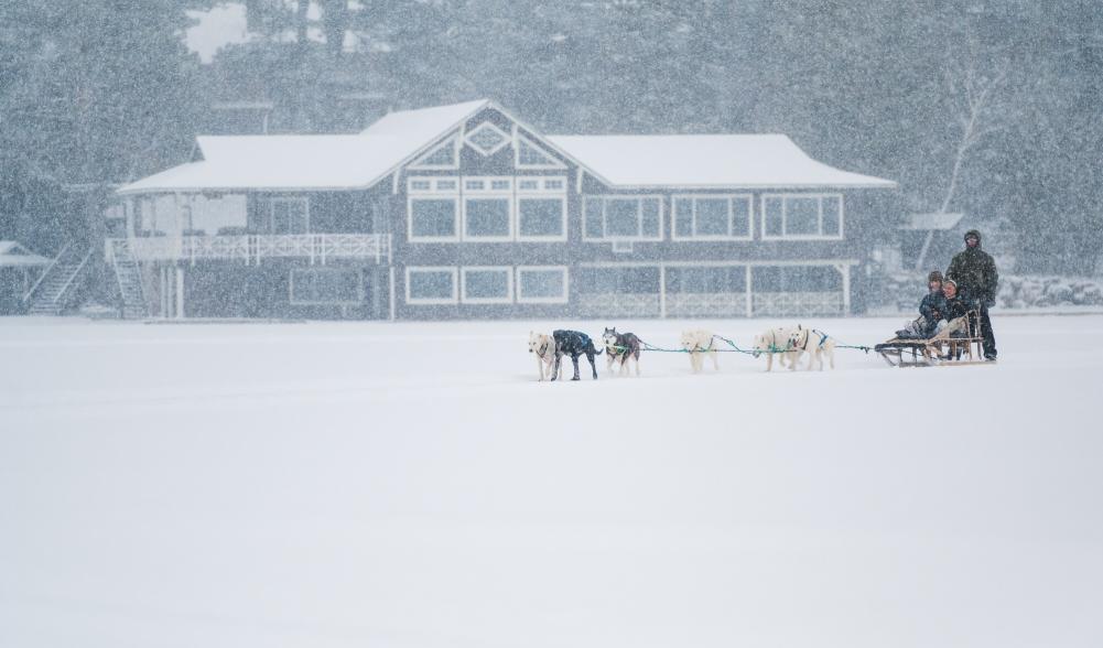 Couple enjoys a romantic dog sled ride during a snowstorm in Lake Placid.