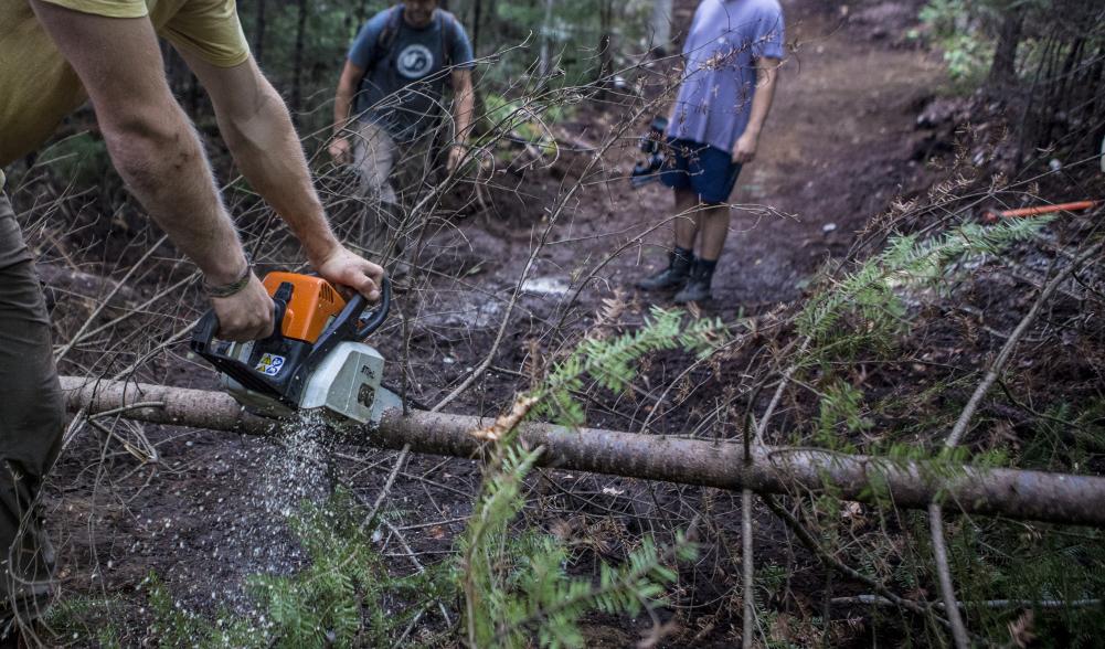 Clearing brush from the trail with a chainsaw