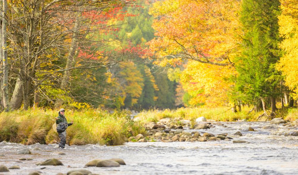a man fly fishing in the Ausable River