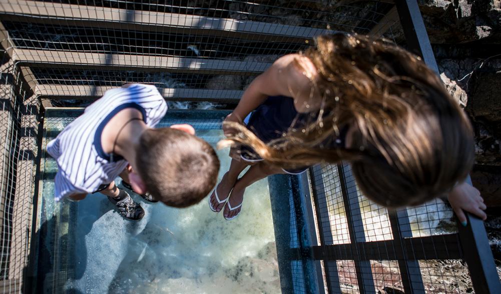 Two children stand on a transparent platform above the Au Sable River at High Falls Gorge in Wilmington, NY