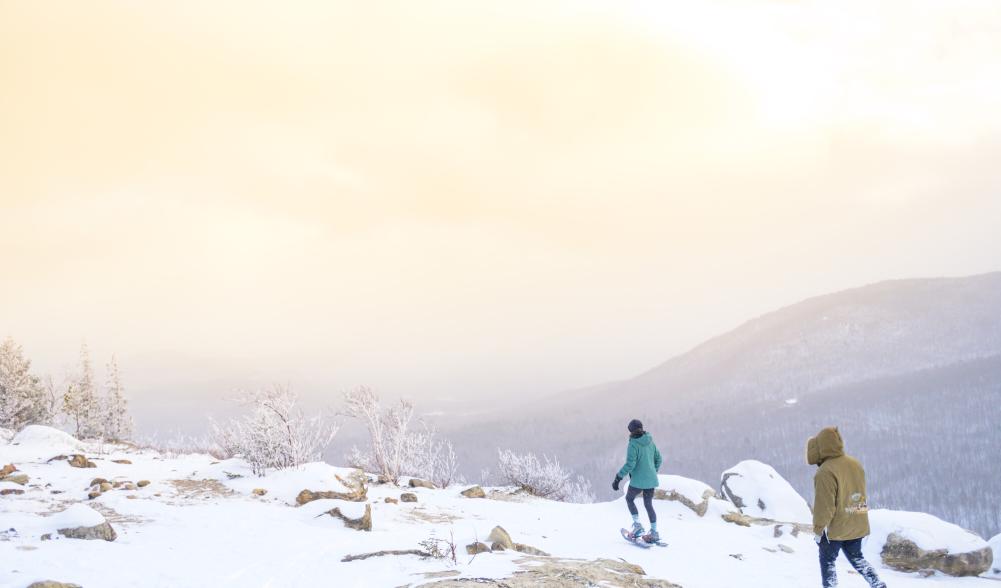 A snowy day view of a mountain summit