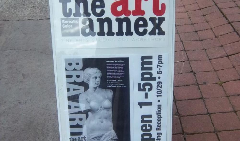 Art Annex Saranac Lake