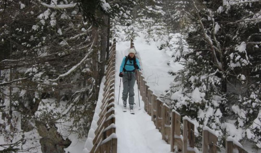 A guided backcountry ski tour with High Peaks Mountain Guides may take you to The John's Brook Valley shown in this picture