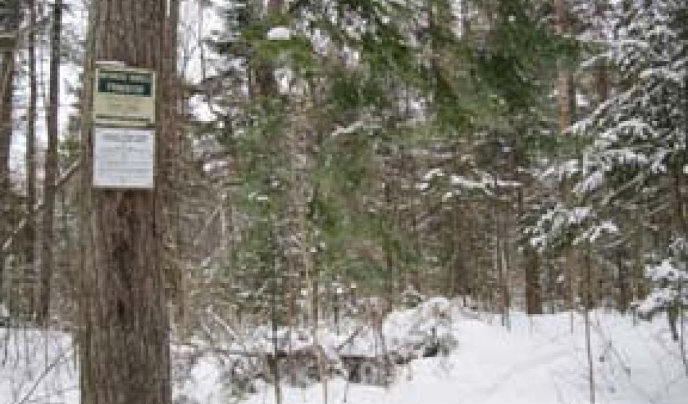 Connery Pond Warning Sign, © Diane Chase, adkfamilytime.com