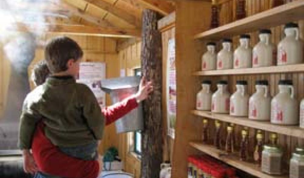 Adirondack Sugar Shack