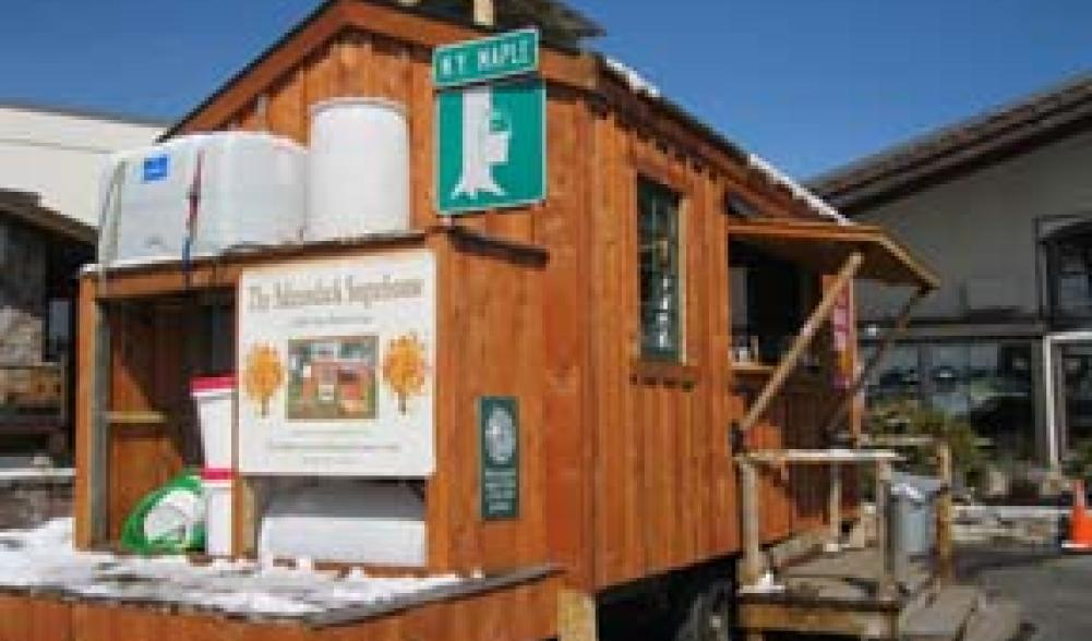 Sugar Shack