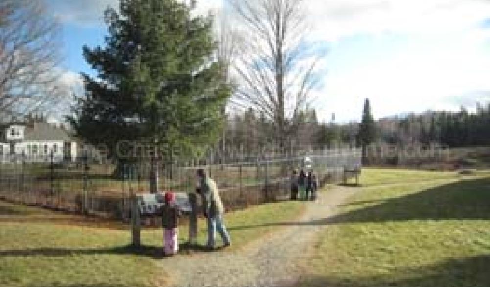 John Brown gravesite