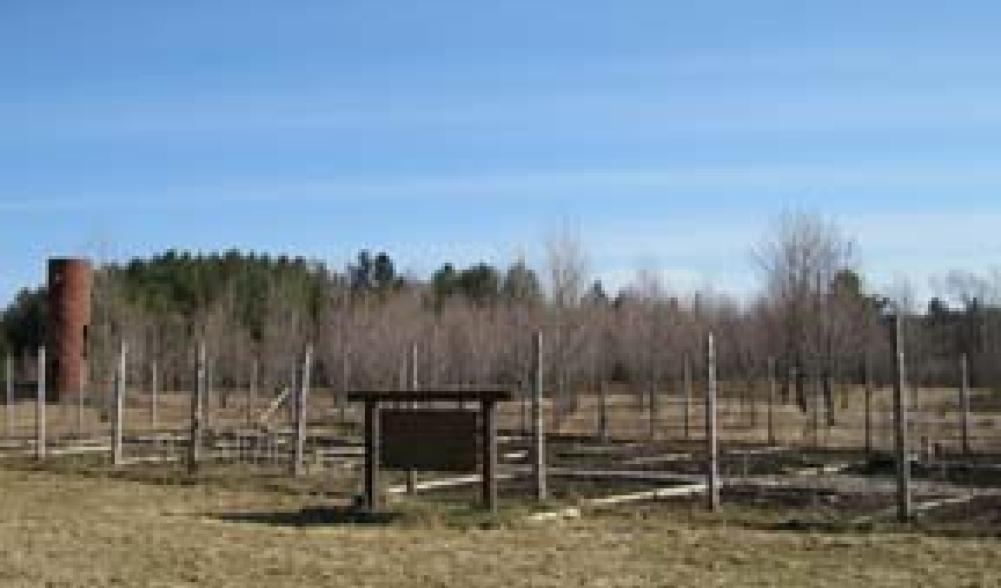 Lake Placid Community Garden