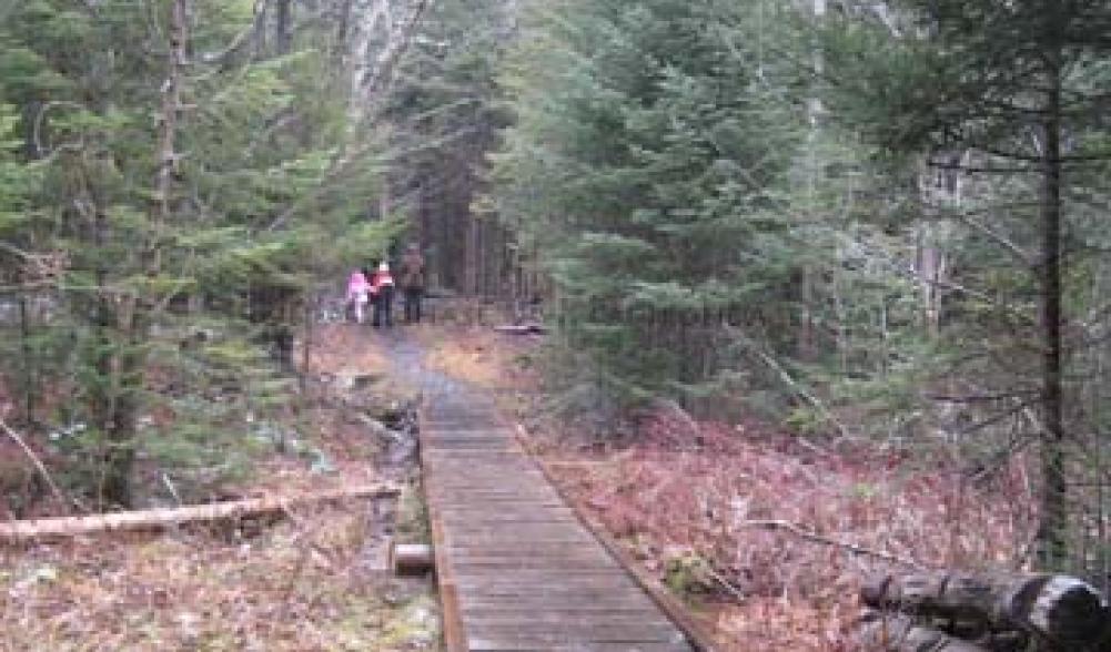 Boardwalk at Adirondack Loj