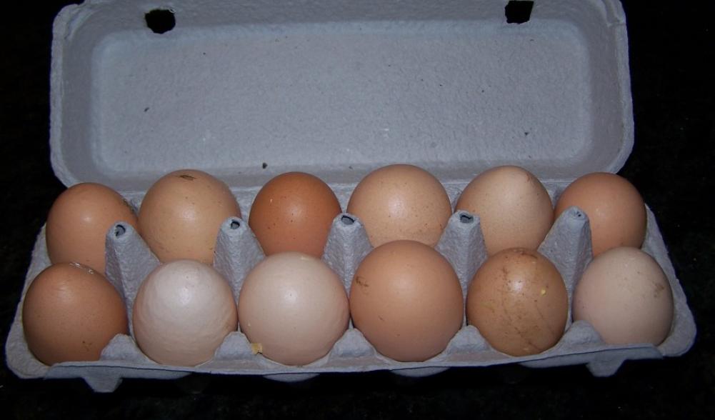 Giant eggs